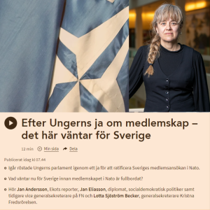 ”Världen för Sverige och svensk regering har blivit” mindre sa Lotta Sjöström Becker i P1 Morgon i Sveriges Radio apropå regeringens prioriteringar och efterlyste mer fokus på gemensam säkerhet än militär sådan.
